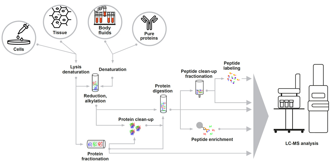 Sample preparation for MS-based proteomics: overview
